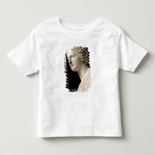 Venus de Milo T-shirt
