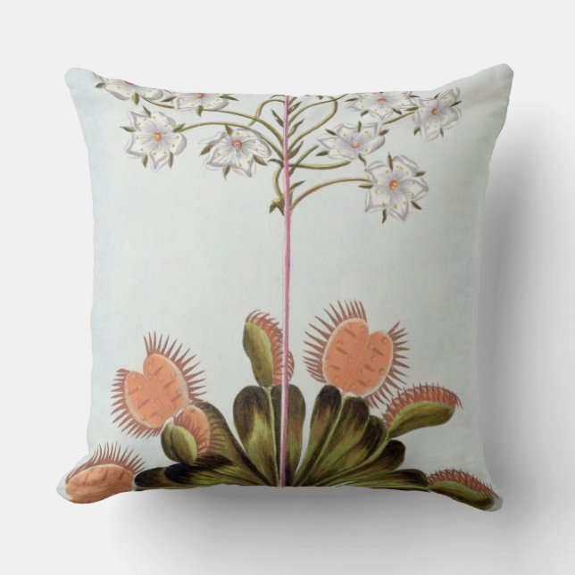 Venus Fluga-fälla, pläterar 84, från 'samlingen Kudde (Framsida)