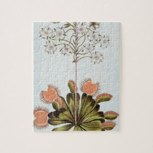 Venus Fluga-fälla, pläterar 84, från 'samlingen Pussel