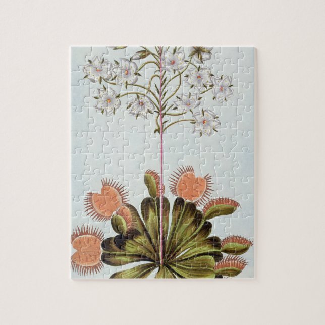 Venus Fluga-fälla, pläterar 84, från 'samlingen Pussel (Vertikal)