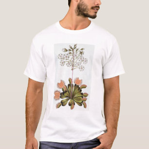 Venus Fluga-fälla, pläterar 84, från 'samlingen T-shirt