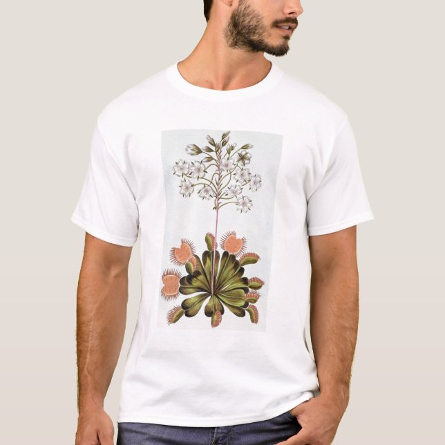Venus Fluga-fälla, pläterar 84, från 'samlingen T-shirt (Framsida)