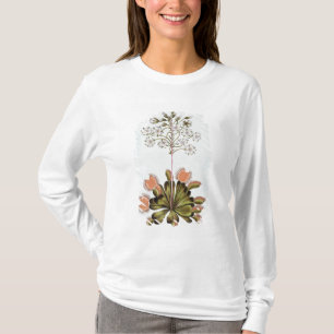 Venus Fluga-fälla, pläterar 84, från 'samlingen T-shirt