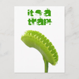 Venus flugafälla vykort