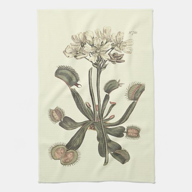 Venus flugfälla botanisk illustration kökshandduk (Vertikal)