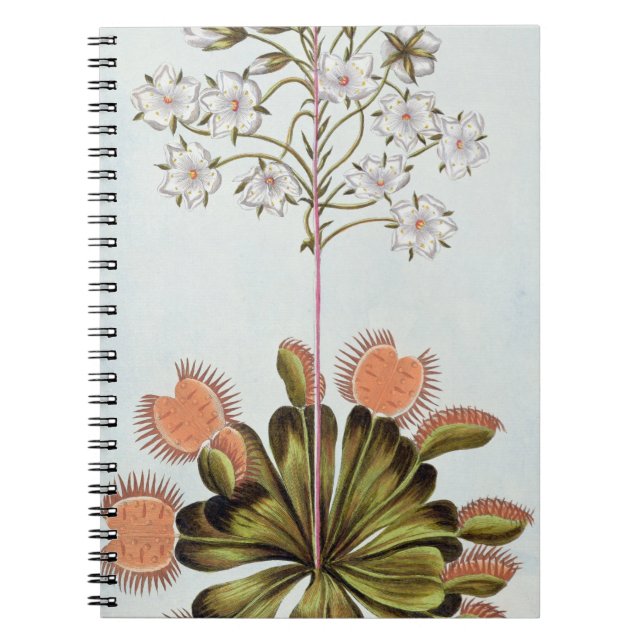 Venus flugfälla, plansch 84, från 'Collection Prec Anteckningsbok (Framsidan)
