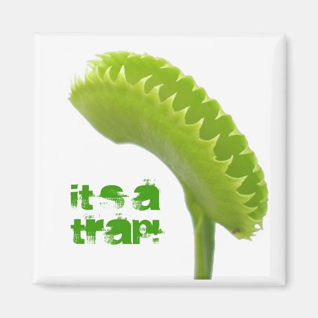 Venus Fly Trap Magnet (Framsidan)