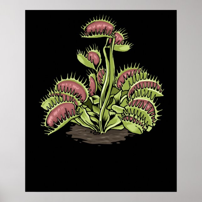 Venus Fly Trap Plant Carnivorous Plant Venus Fly Poster (Framsidan)
