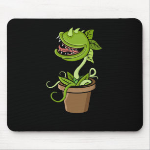 Venus Fly Trap Plant Gift Manar CarnivorPlants Musmatta