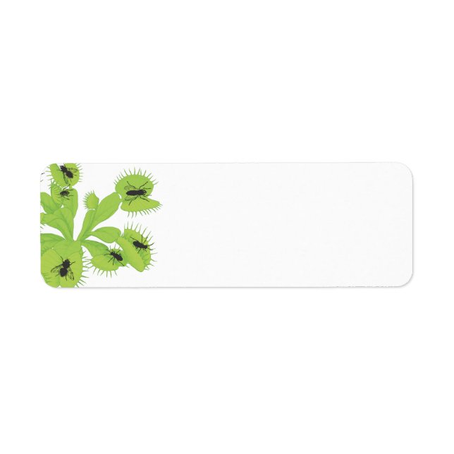 Venus Flyälla med flygetiketter Returadress Etikett (Framsidan)