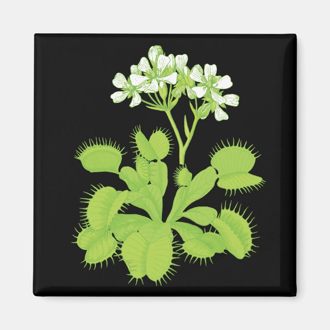 Venus Flyällfälla Magnet (Framsidan)