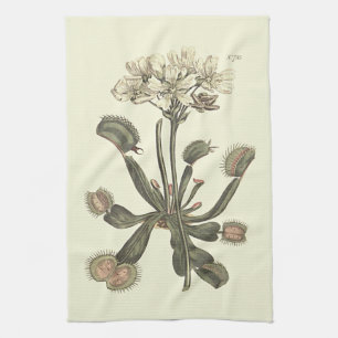Venus Flyfälla Botanical Illustration Kökshandduk