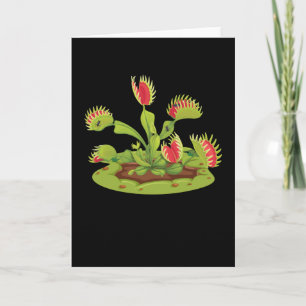 Venus Flyfälla Carnivorous Kort