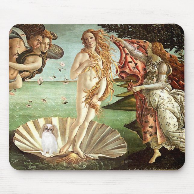 Venus - Japanskt chin (L1) Musmatta (Framsidan)