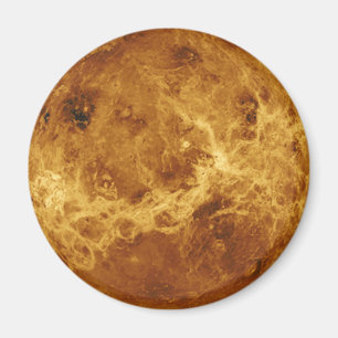 Venus magnet