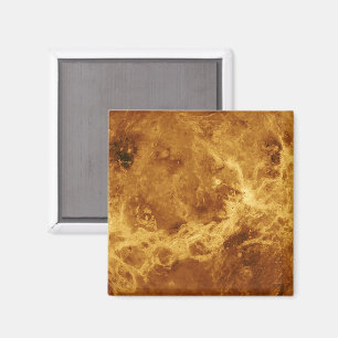 VENUS MAGNET