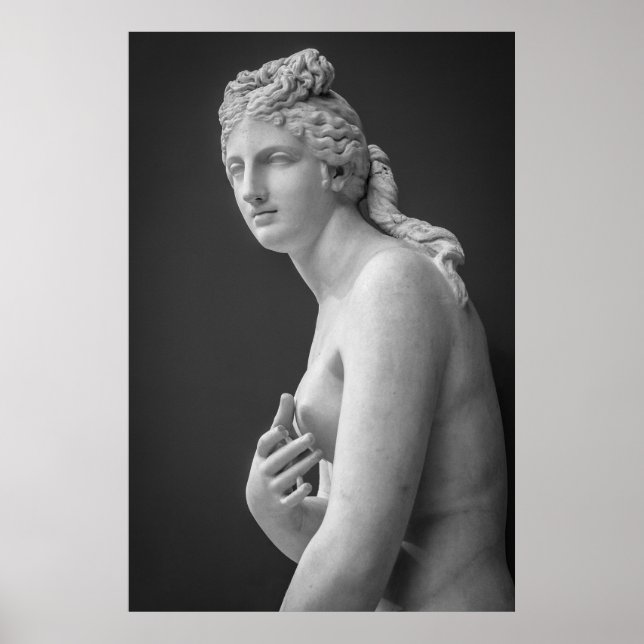 Venus Poster (Framsidan)