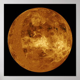 Venus Poster