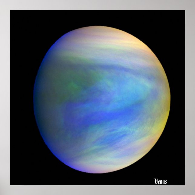 Venus / poster (Framsidan)