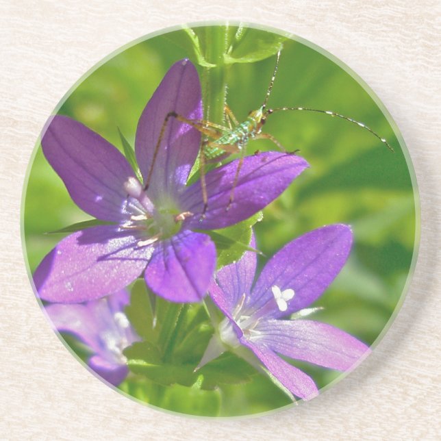 Venus Tittar Glass Wildblomma & Grashopper Underlägg (Framsidan)