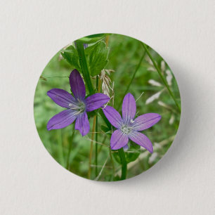 Venus Tittar Glass Wildblomma Knapp