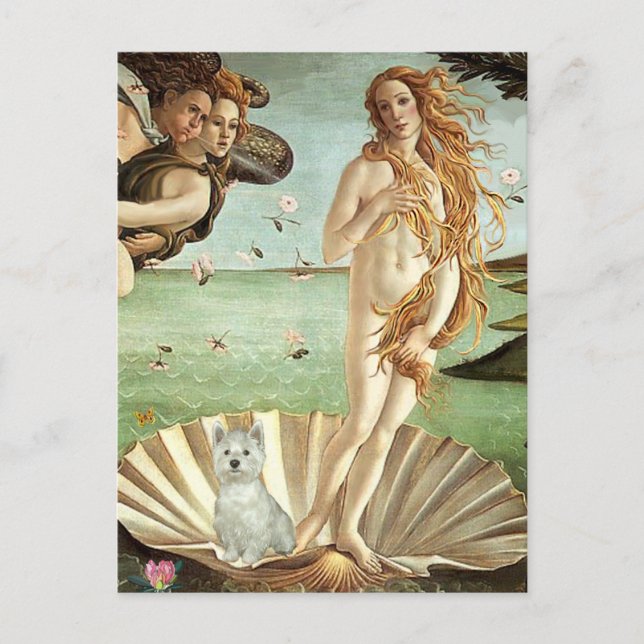 Venus-Westie (S) Vykort (Framsida)