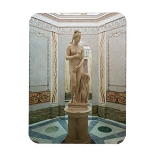 Venusstaty Magnet