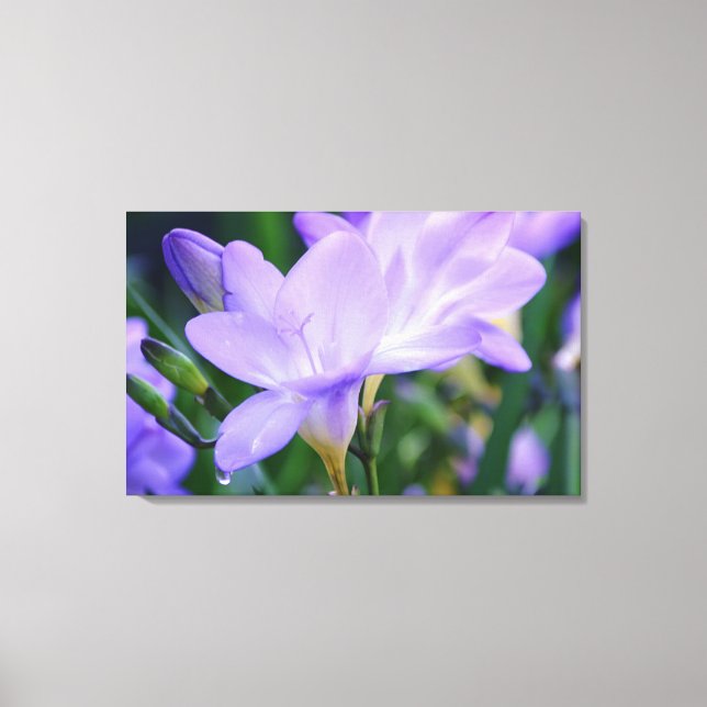 Vepande Freesia Flower Photographic Art Canvastryck (Framsida)