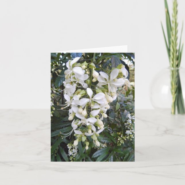 Vepande Glorybower Photo Folant Note Card Anteckningskort (Framsida)