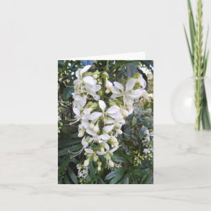 Vepande Glorybower Photo Folant Note Card Anteckningskort