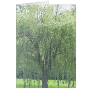 Vepande WIllow Hälsningskort