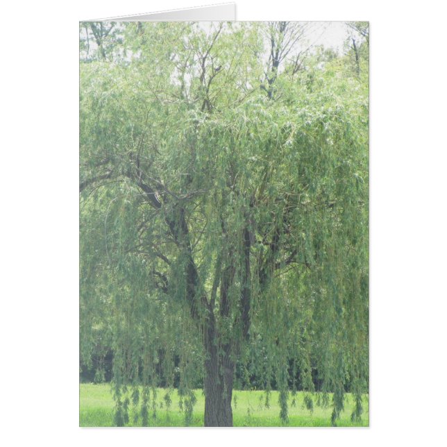 Vepande WIllow Hälsningskort (Framsidan)
