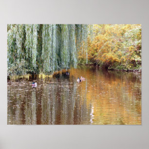 Vepande Willow Reflection Poster