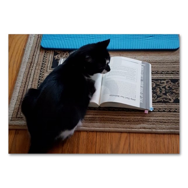 Verb Seende, Katt Läsande Bildkort för Vuxna Bordsnummer (Framsidan)