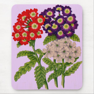 verbena-blommor i rött och lila musmatta