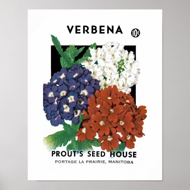 Verbena-förpackningens etikett poster (Framsidan)