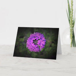 Verbena-kort Kort