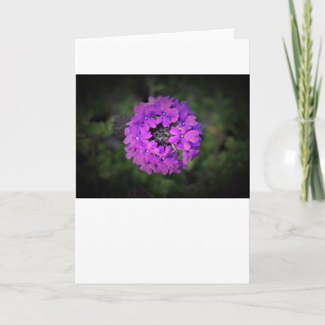 Verbena-kort Kort (Framsida)