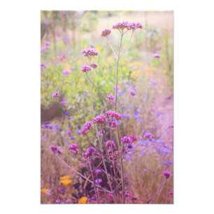 Verbena Photo Utvidgning Fototryck