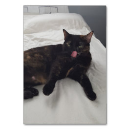 Verbs som slickar vuxnor för att läsa kattläsare bordsnummer