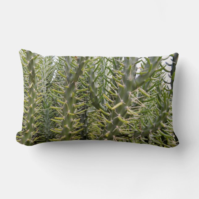 "Verdant Sentinels: The Prickly Majesty of Cactus Lumbarkudde (Framsida)