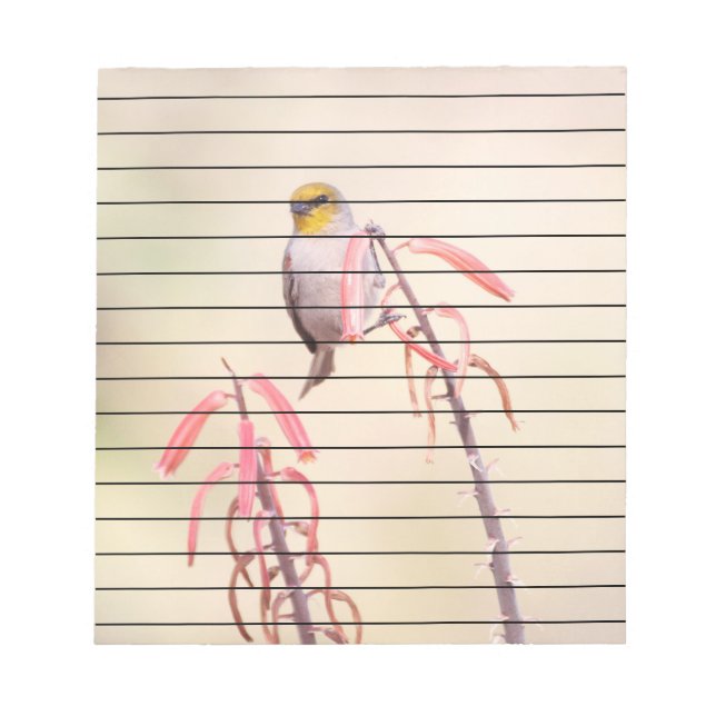 Verdin gick på penstemon anteckningsblock (Framsida)