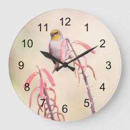 Verdin gick på penstemon stor klocka