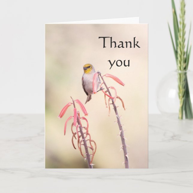 Verdin gick på penstemon, tack kort (Framsida)