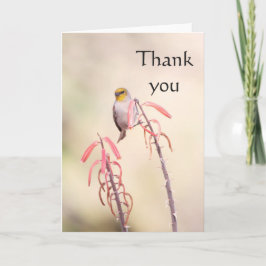 Verdin gick på penstemon, tack kort