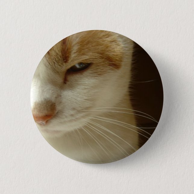 verkande katt knapp (Framsida)