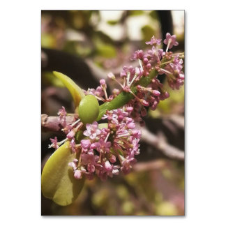 Verklig miljövy bordsnummer