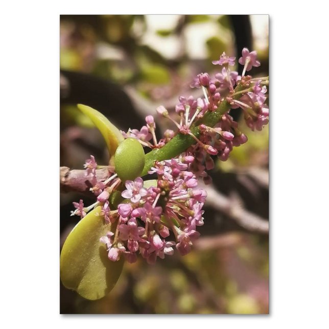 Verklig miljövy bordsnummer (Baksidan)