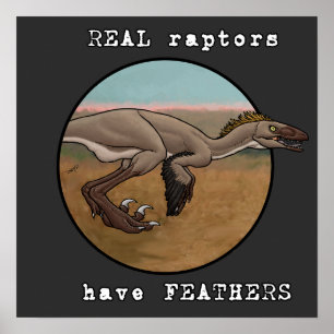 Verkliga Raptors Poster