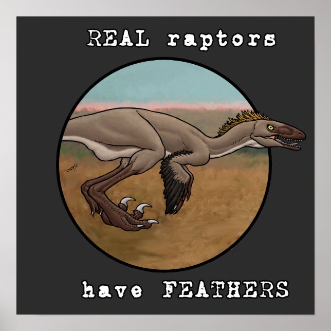Verkliga Raptors Poster (Framsidan)